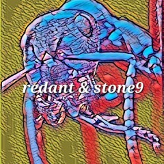 ants of the stone age