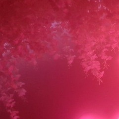 𝐻𝒾𝓁𝒶♪