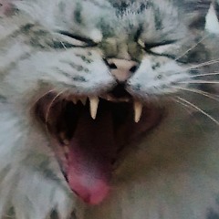 Something Else Entirely