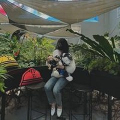 빈이