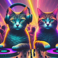 DJ PUSSYCAT