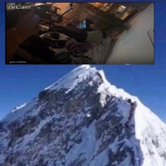 yanmayen.gov