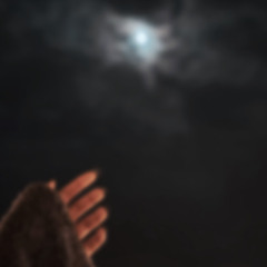 بالأحلام