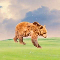 Tranquil Bear