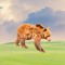 Tranquil Bear