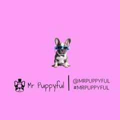 Mr Puppyful