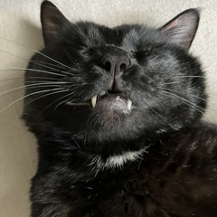 ragerwithsager