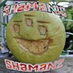 Shamanic Shamanz - Nerve Puddingz