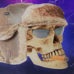 Łysy Terminator