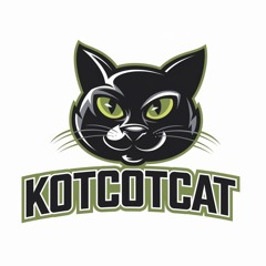 kotcotcat