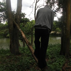 Mang Quinh