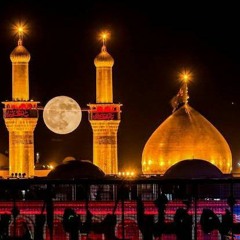 Zeeshan Raza