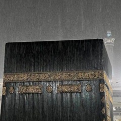 Mariam M.Asfour