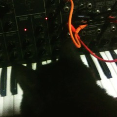 electric data