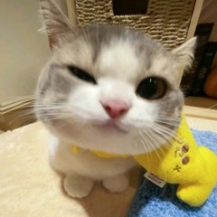 Kaaa