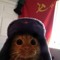 Vlad