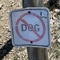 DomtheDog