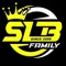 Anca-slb45