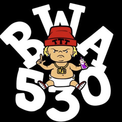 BWA530 - ‘Ready’