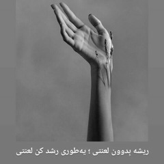 mehshad. Keshavarz.395