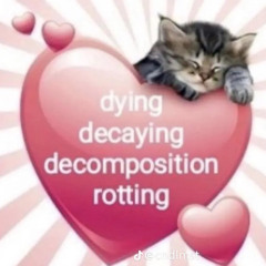 유유유유유유유유유유유유유유유