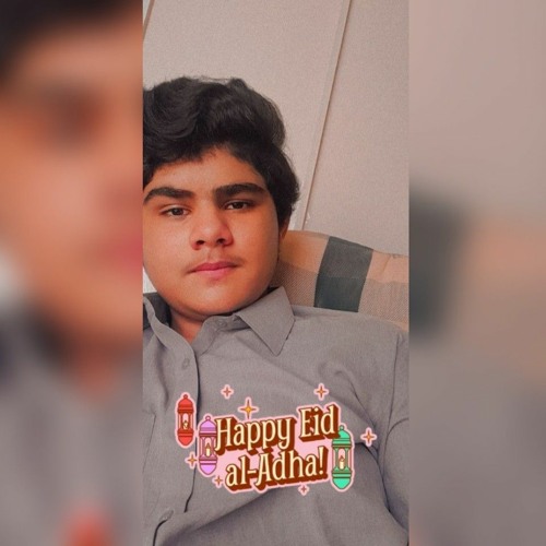 Stream Muhammad Ali Rajper music | Listen to songs, albums, playlists ...