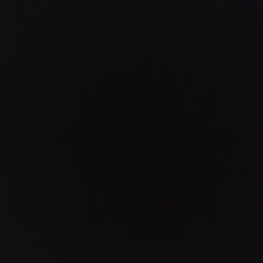 1245568890875443