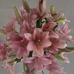 هَمْس