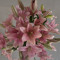هَمْس