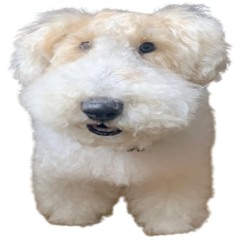 ＪＡＰＡＮＯ ＦＩＬＥ