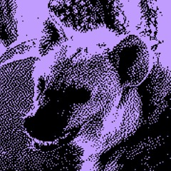 rare.hyena