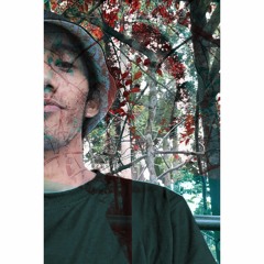 patok