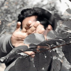 Jawad