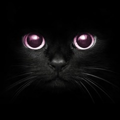 When are the doctors gonna fix me