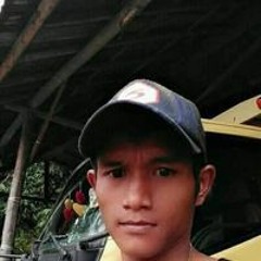Yogi Sgb