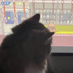 Nyui