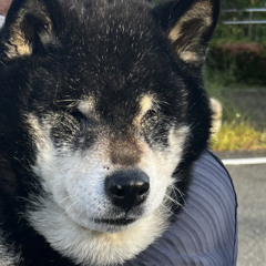 遠藤理貴
