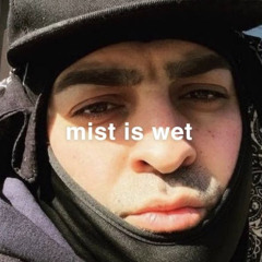 mistiswet
