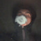 SiBandz