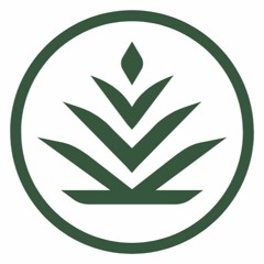 TIM BERNHARDT - Sustainable Instruments