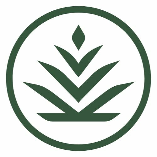 TIM BERNHARDT - Sustainable Instruments’s avatar