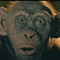 zah.bully