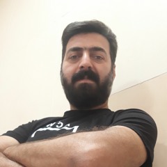 hamid shamsaee