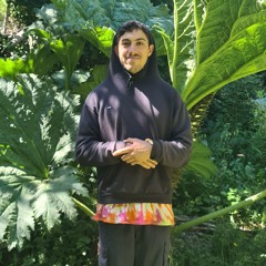 Julian o lulo Tissera