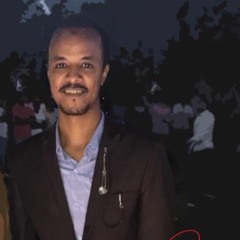 Ahmed Roshdy Mohamed