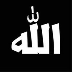 Rana Elramlawy