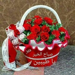 Ahmed Ahmed