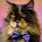 DealKat