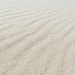 Edisu