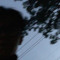 Minh Quang